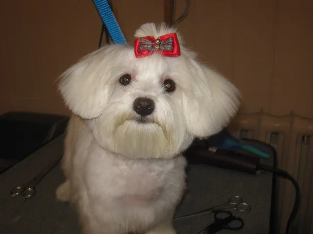 Zdjęcie z galerii